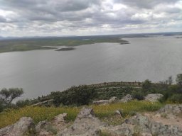 Flora del Cerro Masatrigo